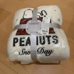 Item thumbnail for item 3081e9a6-569b-4189-9f21-4c730028c5a6