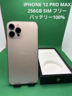 3215 IPHONE 12 PRO MAX 256GB SIM フリー