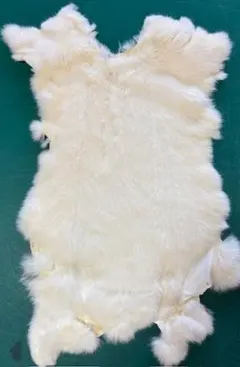 Item thumbnail for item 6333d2bb-7611-4cfc-b952-6fff15b40487