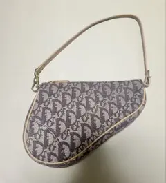 Christian Dior 디올 새들백 파우치 트로터