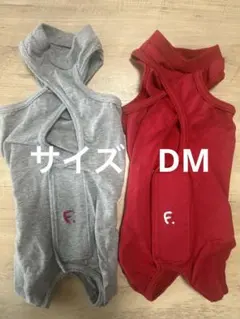 Item thumbnail for item 7ce1c330-0472-4a66-b496-c3243cd32824