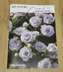 Item thumbnail for item a02bce0d-b1a6-465d-b9da-a6ef714ac318