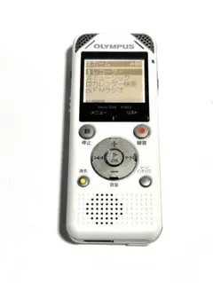 Item thumbnail for item c7483963-df70-4fa2-be2d-a5749d4aeae9