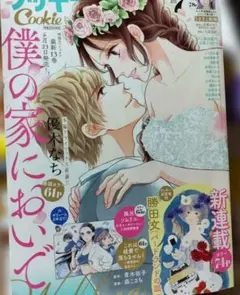 【切売り】Cookie2023年7月号