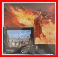 非売品】ファイナルファンタジー零式 ポスター 発売延期後ver. - メルカリ