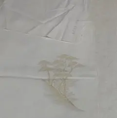 Item thumbnail for item 22eb9b42-ff0a-46ed-b8a4-a5fc250a2c76