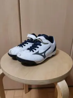 Item thumbnail for item 08b7adbb-0801-4895-82b9-40351f33b0ed