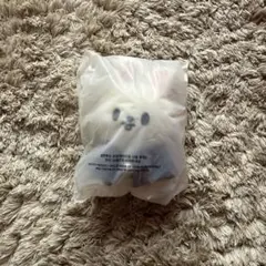 Stray Kids スキズ SKZOO Leebit リービット