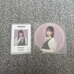 櫻坂46 的野美青 櫻坂カフェ ランダムコースター IDカード セット