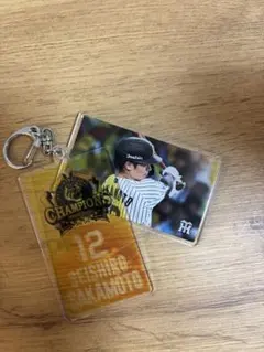 阪神タイガース 坂本誠志郎選手 ショップアルプススライドアクリルキーホルダー