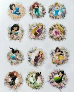 ディズニープリンセス ステッカー 12枚セット