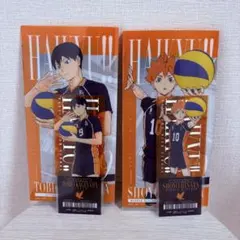 一番くじ ハイキュー!! -最強の挑戦者- I賞 チケットケース　影山　日向