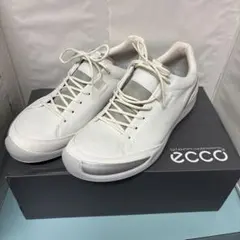ecco 43