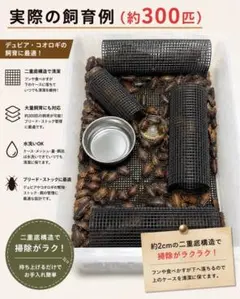 デュビア飼育ケージのサムネイル