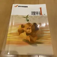 Item thumbnail for item 502859cb-715e-4f90-8d0c-cd7cd735ce8c