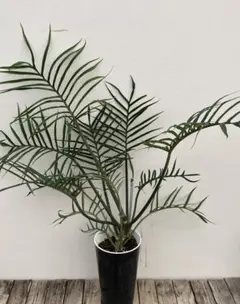 utata様 リクエスト 2点 まとめ商品