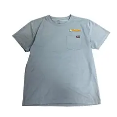 プリントTシャツ　Dickies 胸ポケット　ブルー系　L 古着　8Sb