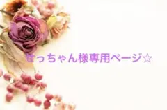 せっちゃん様 リクエスト 3点 まとめ商品