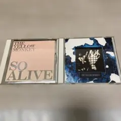 Item thumbnail for item c2ff22b7-5376-485b-b322-e7c4e911a8f8