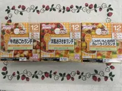 WAKODO 離乳食 3種セット