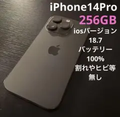 のりを様専用♡iPhone 14 Pro 256GB 本体Apple タブレット