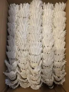 Item thumbnail for item 85389860-8350-4f40-8f76-d4bda4bec74e