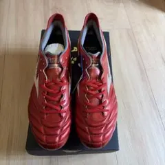 Item thumbnail for item 6010a998-bbce-4c8e-9c86-d039e8063311