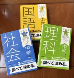 Item thumbnail for item 65d4db02-91f3-497a-8bfb-b3359d80565c