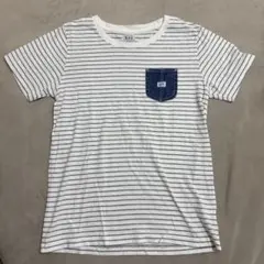 Lee Tシャツ　ボーダー　胸ポケット