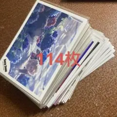 菊池風磨 公式写真 まとめ売り114枚