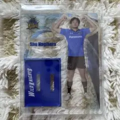 ポリー様 リクエスト 2点 まとめ商品