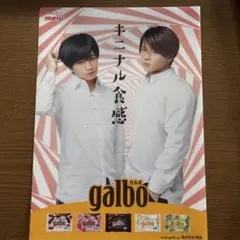 菊地風磨　中島健人　meiji galbo クリアファイル