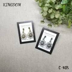 フラワーチャーム　ピアス　2ペアセット　C-405