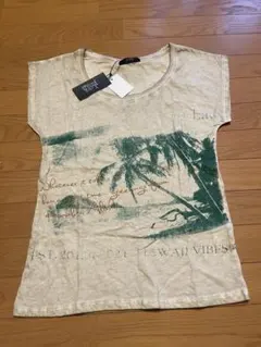 Item thumbnail for item f0b564a4-dc61-450a-823c-0f4da393afc0