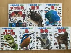 【SALE】小学校の図鑑 NEO 全7冊セット