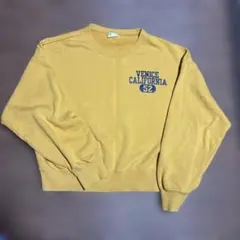 Championトレーナー