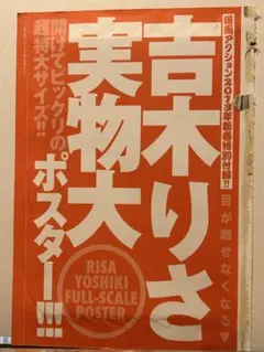 Item thumbnail for item 635e4237-0854-43d6-87da-95138fa868fc