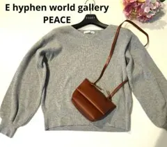 春に♥️E hyphen world gallery PEACE グレーニット