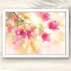 A4 優光に包まれるブーゲンビリア 水彩画アート インテリアアート