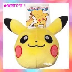 Item thumbnail for item 4fa6def1-9ebb-4368-8127-e9a9982576fc