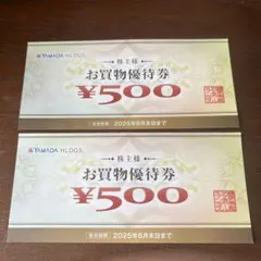 YAMADA HLDGS. お買物優待券