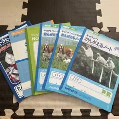 Item thumbnail for item be0692b6-ca90-4b92-9e0b-ba36495fe912