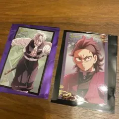 鬼滅の刃 無限城編 第一章 描き下ろしイラスト フォトカード 不死川実弥　玄弥