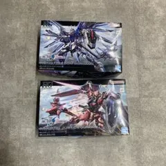 HG ライジングフリーダム HG イモータルジャスティス ガンプラ