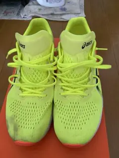 Item thumbnail for item 61a48f85-f113-47a1-8fb5-24b9c7fffed8