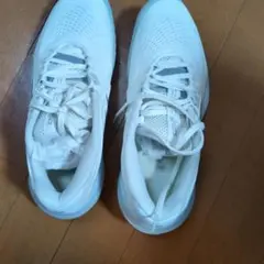 アシックス　テニスシューズ 25.0　オムニ・クレー