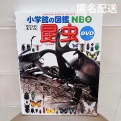 【DVD未開封】小学館の図鑑NEO 「昆虫」新版 カバーあり美品　匿名配送