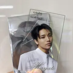 Laline ONE N’ ONLY トレカ HAYATO