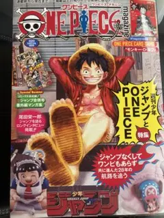 ワンピースマガジン　20号　モンキー・D・ルフィ　プロモ付き　おまけ付き