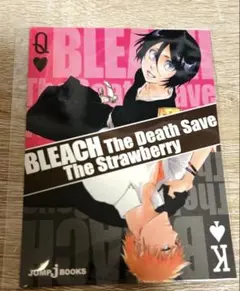 BLEACH GC 黄昏にまみえる死神 黒崎一護 朽木白哉 ゲームキューブ 